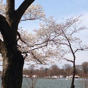 Meet your Posher, Traci